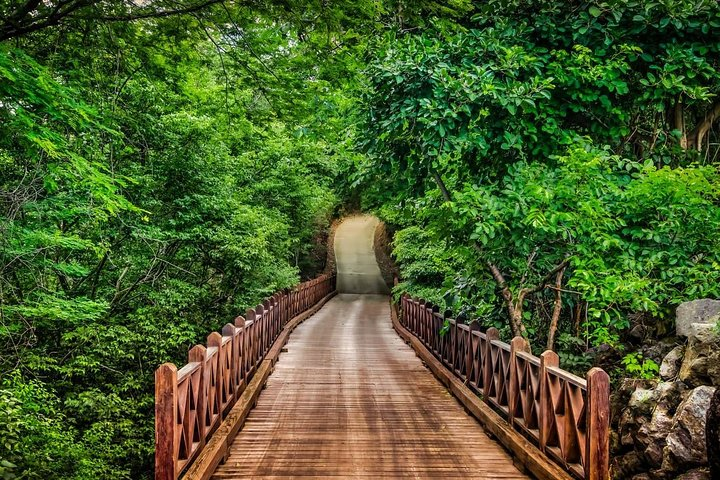 Transfer Service From Liberia Airport To Four Seasons Papagayo - Photo 1 of 6
